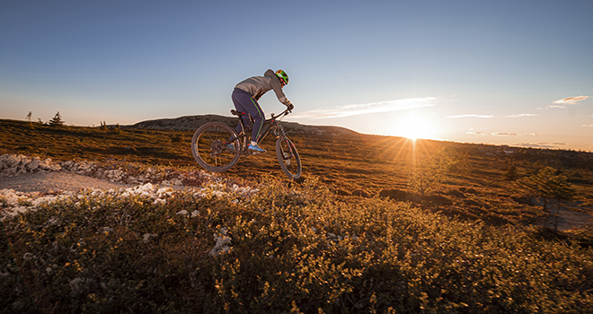 Fjellflyten i solnedgang