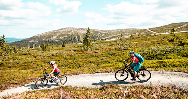 Fjellflyten med familie